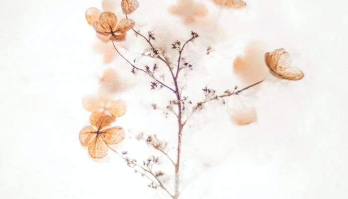 communication-graphisme